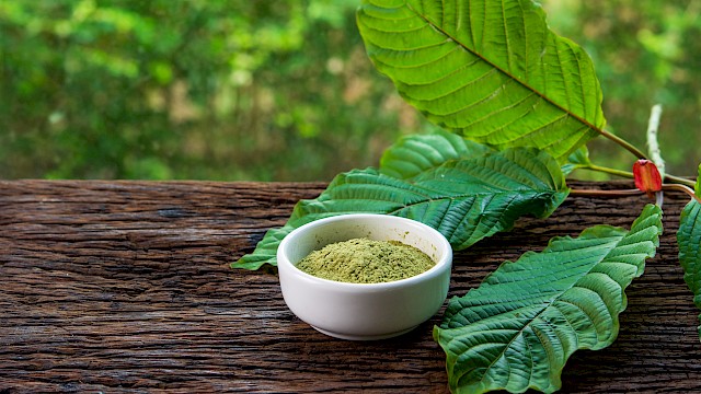 3 Dangers of Kratom